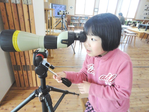 鳥はどこだァ～の画像