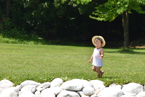夏の思い出の画像