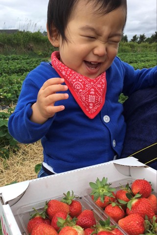 大好物の画像