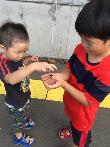 こうやってもつんだよの画像
