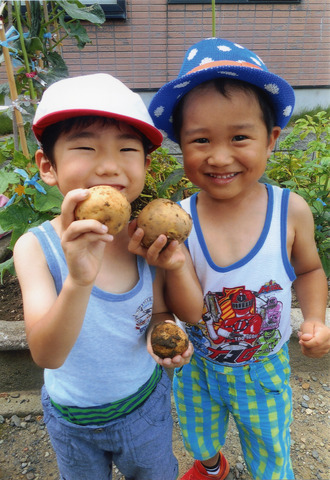 掘れたて！の画像