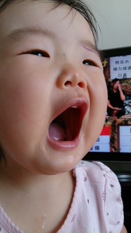 ガオ―の画像
