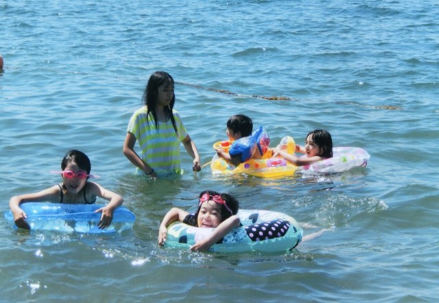 海の画像