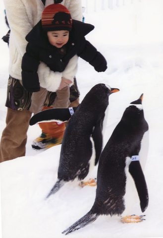 デビューの画像