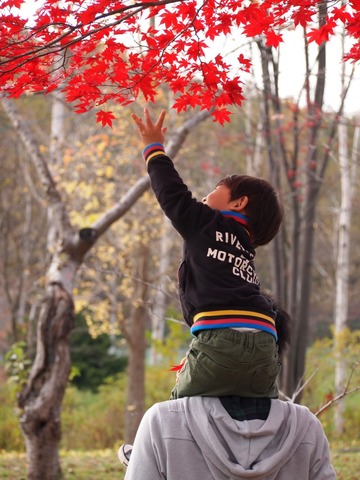 2012「子どものいる風景フォトコンテスト」作品一覧8の画像