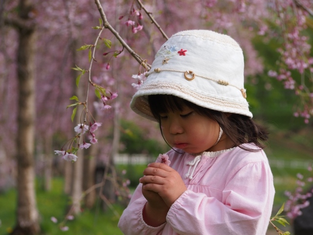 2012「子どものいる風景フォトコンテスト」作品一覧11の画像