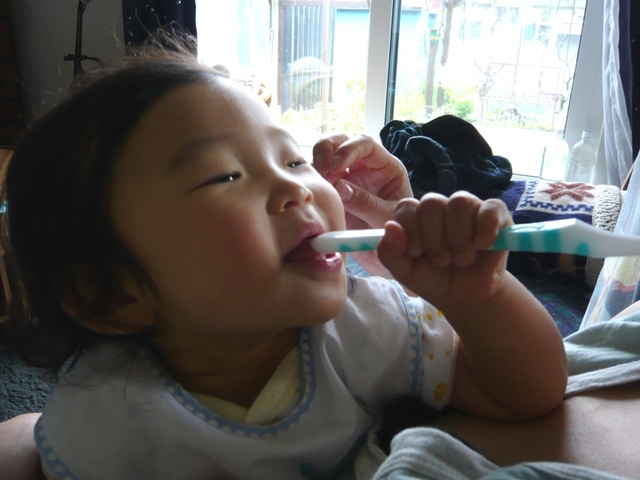 06.JPG