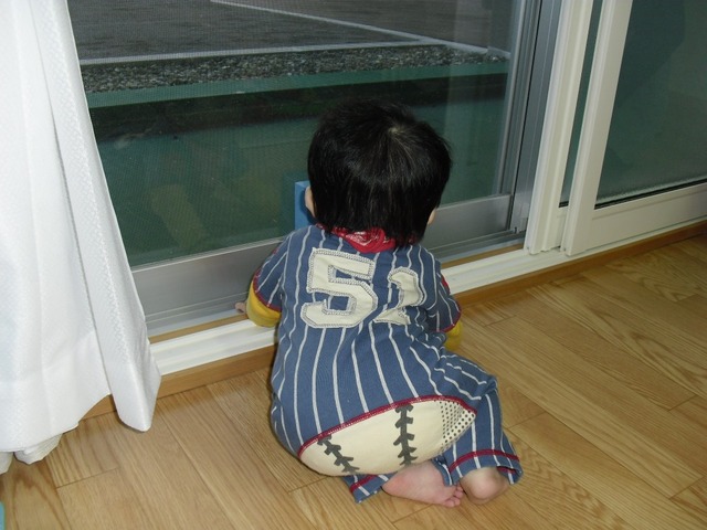 2011「子どものいる風景フォトコンテスト」作品一覧9の画像