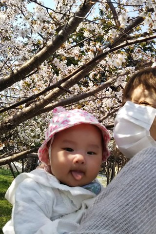 33 初めてのお花見
