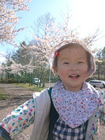 34 うわぁーこれが桜か！