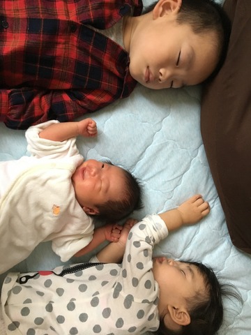37 仲良くできるかな