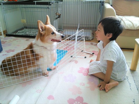 49 今日帰るんだ～またね
