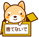 捨てないで
