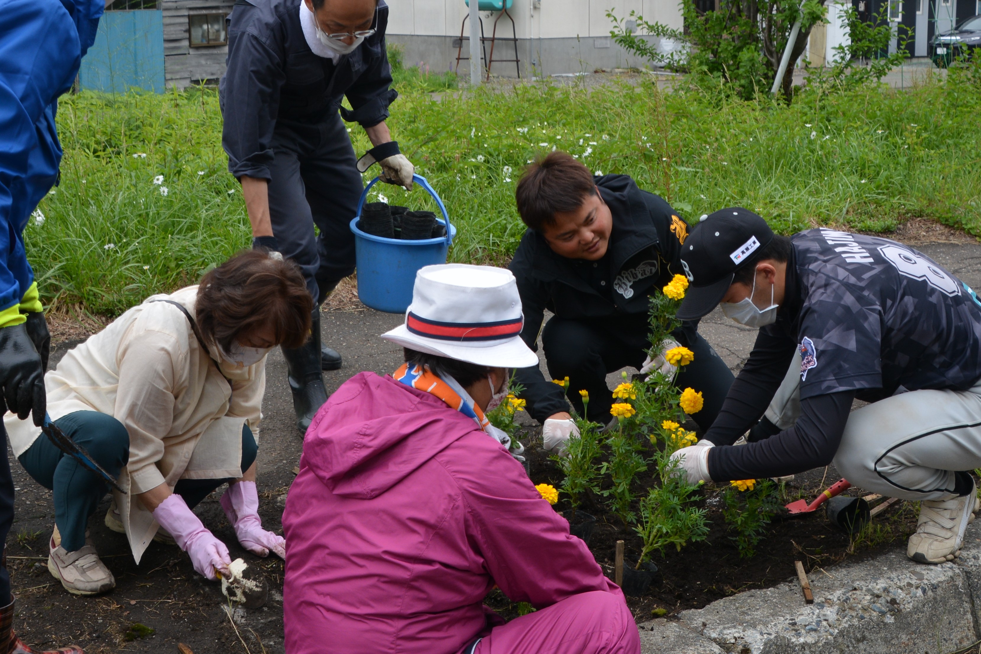 花の植栽会の画像