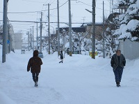 12月中旬　道路の画像
