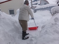 スノウダンプ　住宅の画像