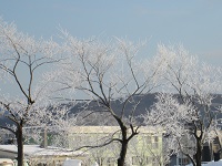 雪化粧_3の画像