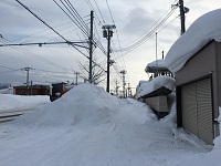 施設前の歩道の画像