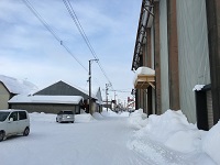 施設前の道路の画像