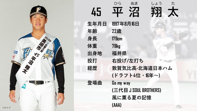 平沼選手プロフィール の画像