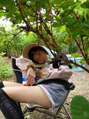 ハスカップ畑で