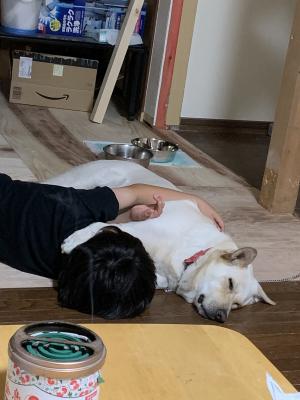 添い寝中