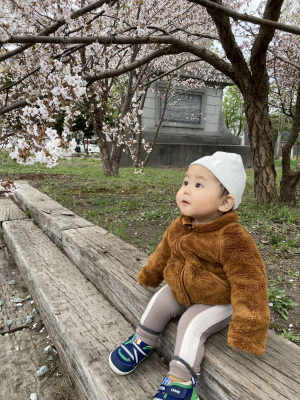 初めての桜
