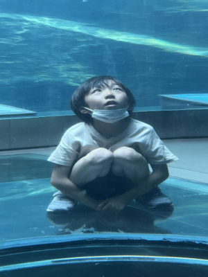 どこへいったの？