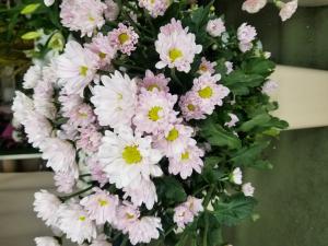 花2