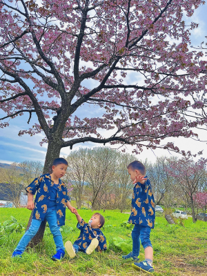 桜と三兄弟
