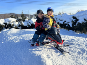 運転はまかせろ！