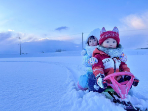 雪上の冒険