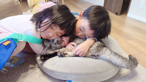 大賞「ただいま、にゃんにゃ」