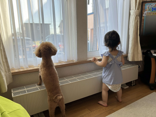 JAみねのぶ賞「ゆあとまめ」