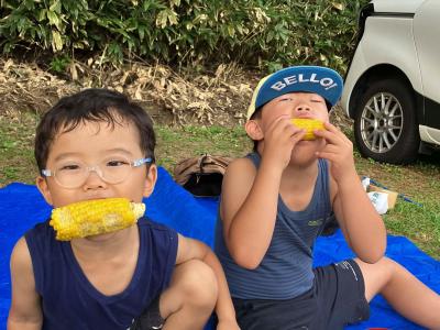 真夏のとうきび