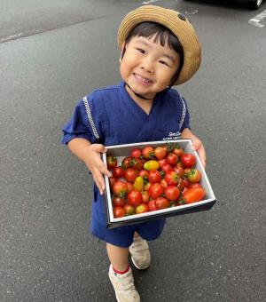 しあわせトマト便